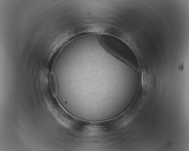 X0000116770300200912171540