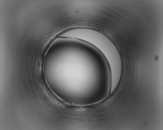 X0000116770301200912171539