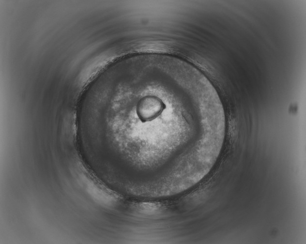 X0000116770302200912171539