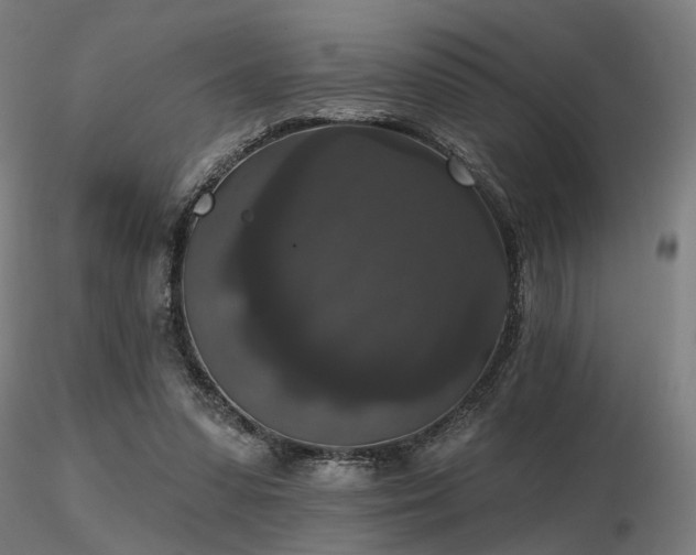 X0000116770303200912171539