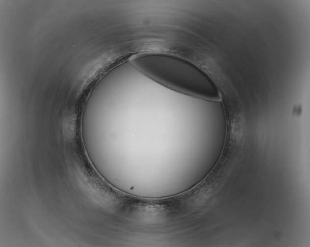 X0000116770304200912171539