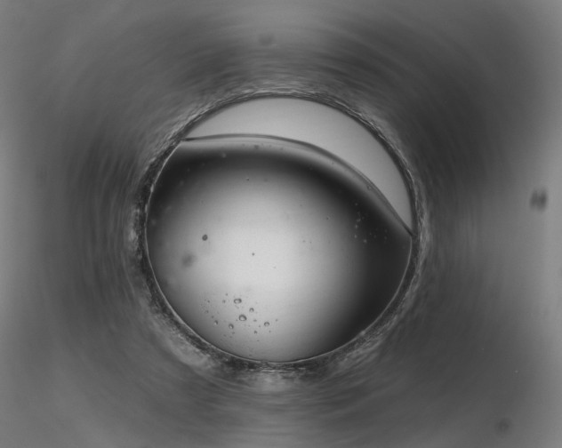 X0000116770305200912171539