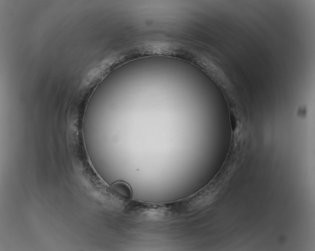 X0000116770306200912171539