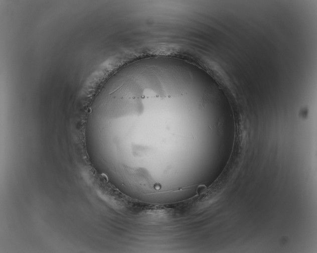 X0000116770307200912171539