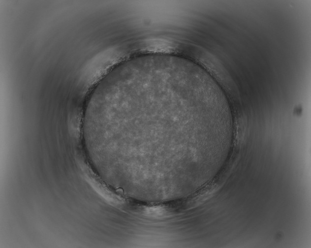 X0000116770309200912171539