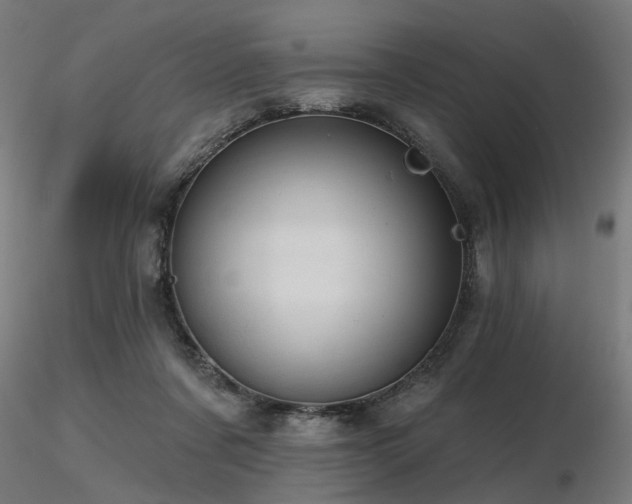 X0000116770311200912171539