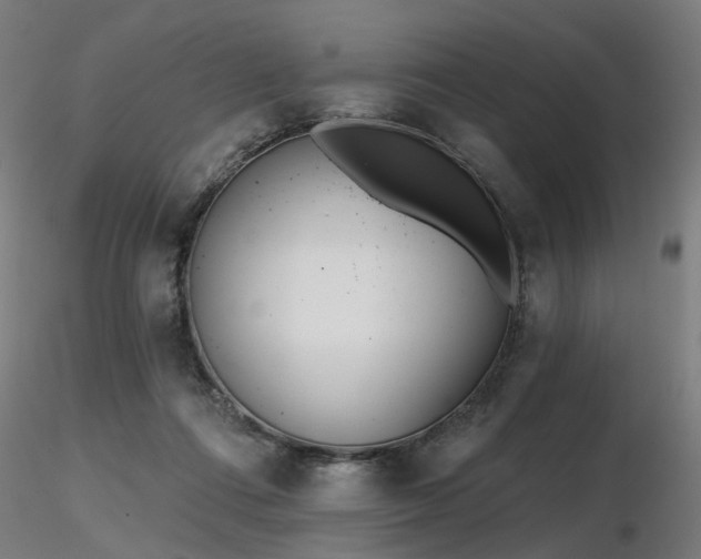 X0000116770312200912171539