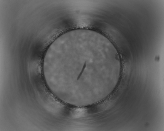 X0000116770313200912171539