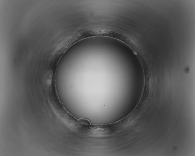 X0000116770315200912171539