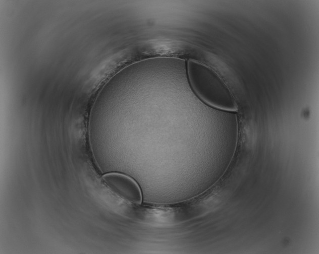 X0000116770317200912171539