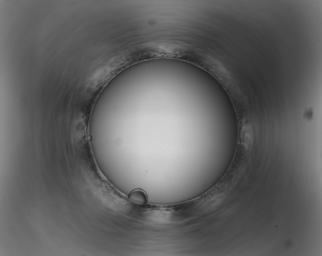 X0000116770318200912171539