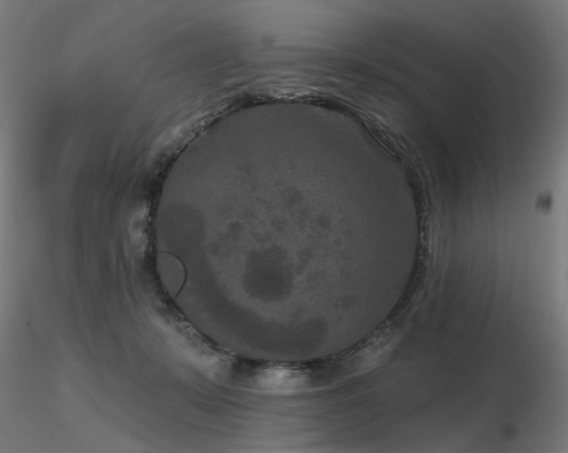X0000116770319200912171539