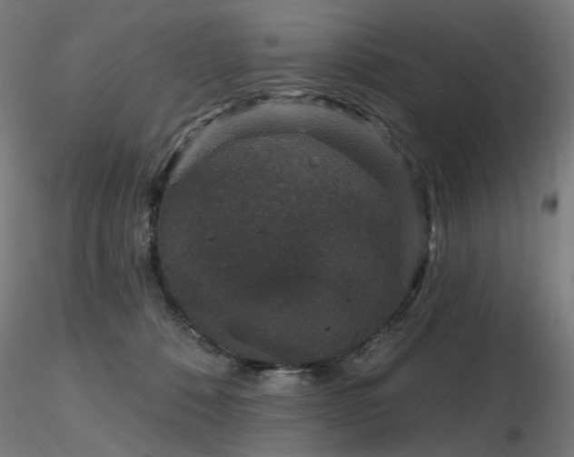 X0000116770320200912171539
