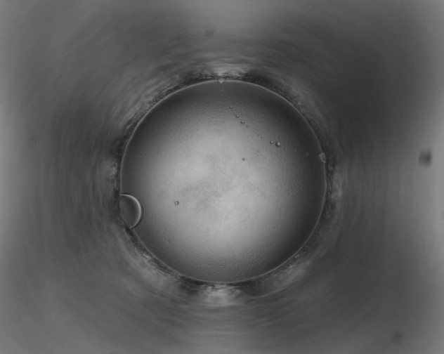 X0000116770321200912171539