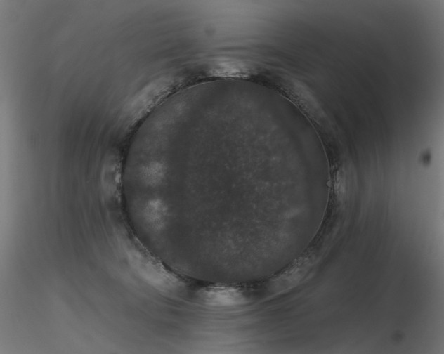 X0000116770322200912171539
