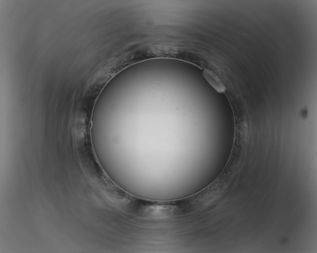 X0000116770323200912171539