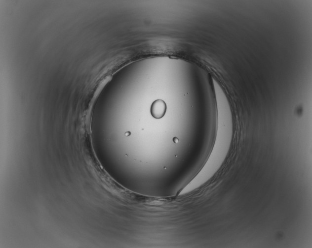 X0000116770325200912171539