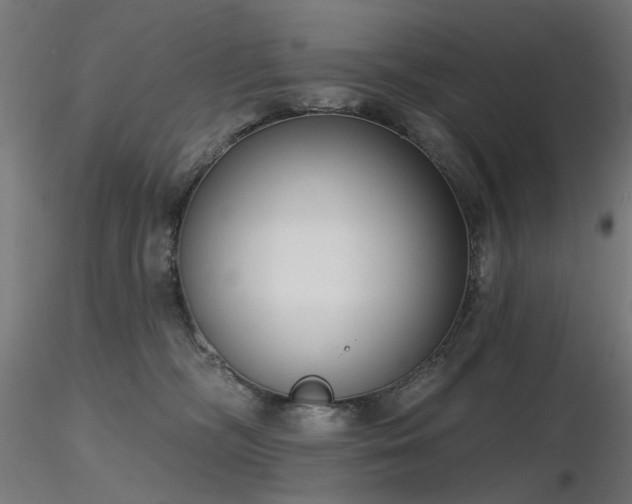 X0000116770326200912171539