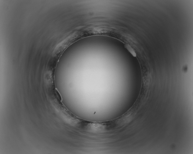 X0000116770327200912171539