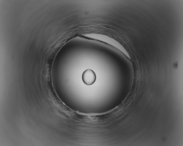 X0000116770328200912171539