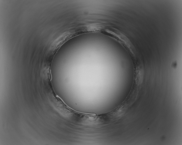 X0000116770329200912171539