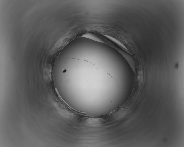 X0000116770332200912171539