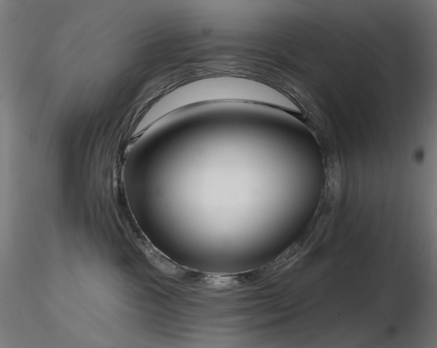 X0000116770333200912171539