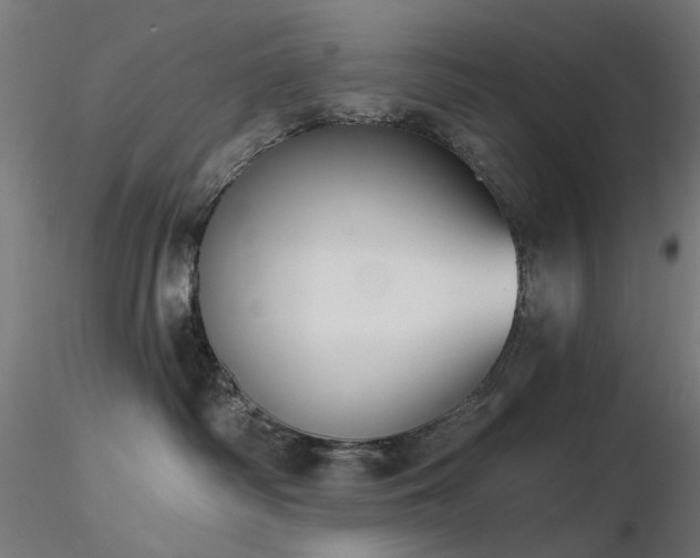 X0000116770334200912171539
