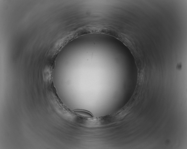 X0000116770335200912171539