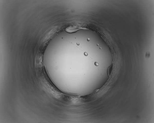 X0000116770336200912171539