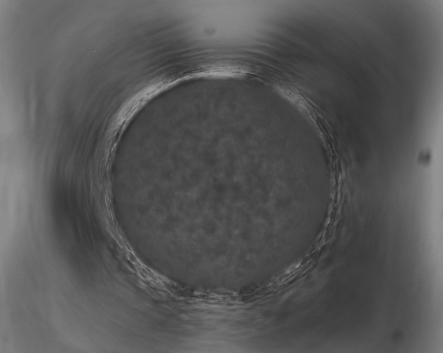 X0000116770337200912171538