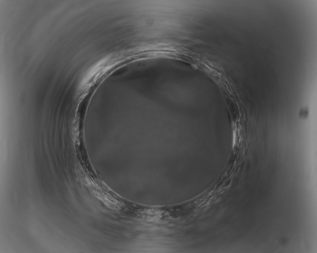 X0000116770339200912171538
