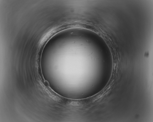 X0000116770341200912171538