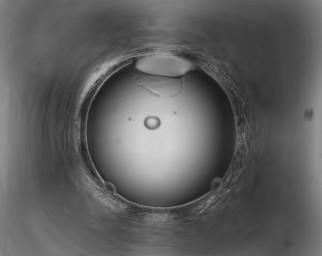 X0000116770342200912171538