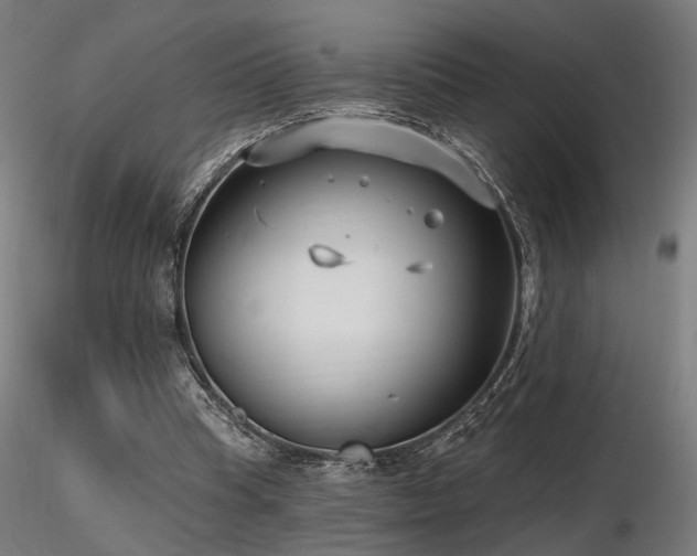 X0000116770345200912171538