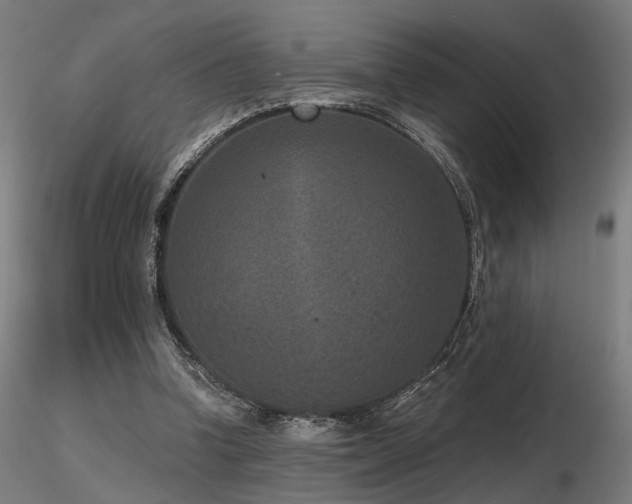 X0000116770346200912171538