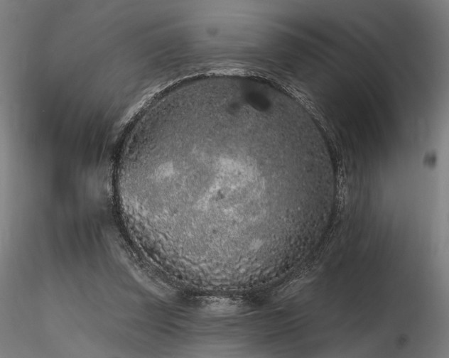 X0000116770347200912171538