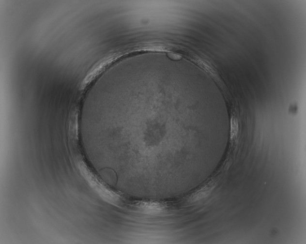 X0000116770349200912171539