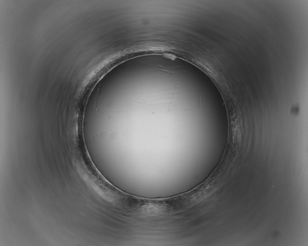 X0000116770350200912171539