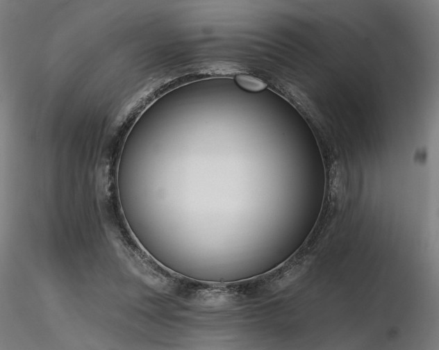 X0000116770351200912171539
