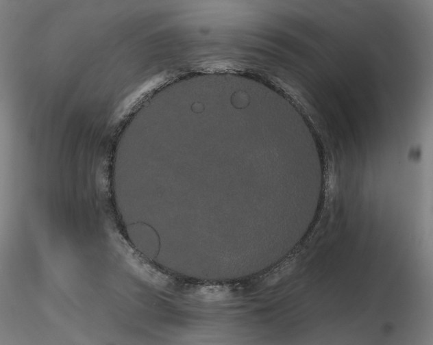 X0000116770353200912171539