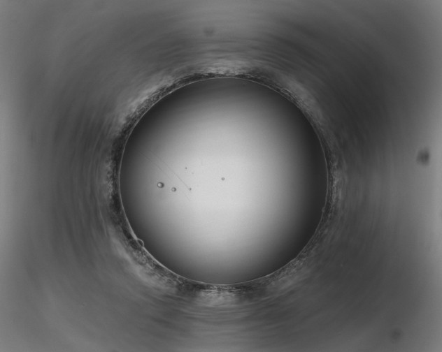X0000116770354200912171539