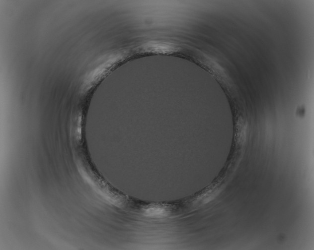 X0000116770358200912171539
