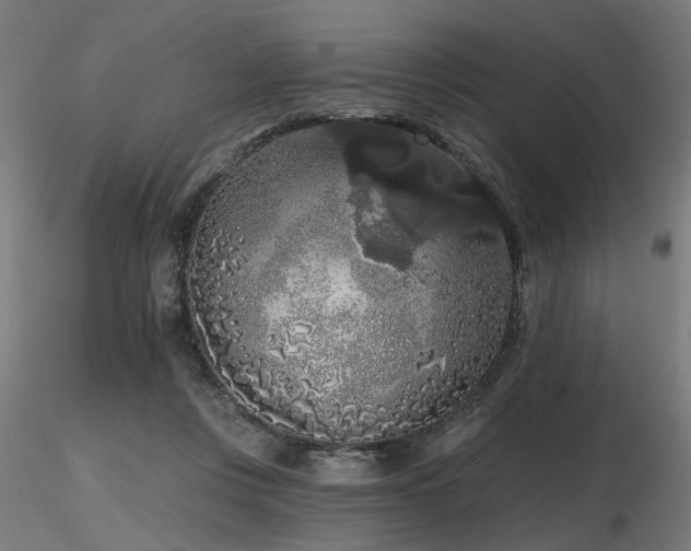 X0000116770359200912171539