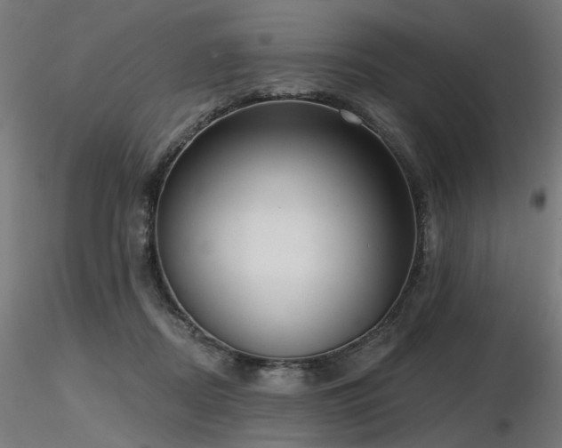X0000116770362200912171539