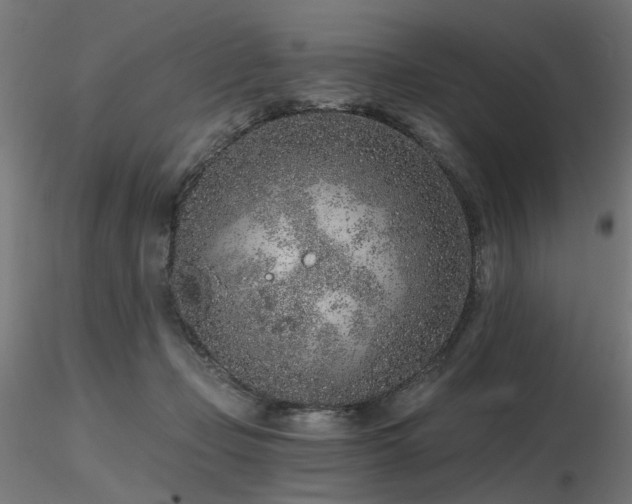 X0000116770365200912171539