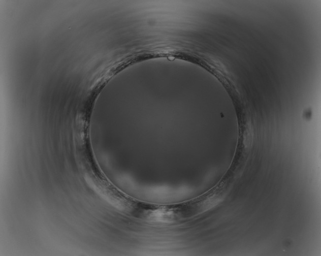 X0000116770366200912171539