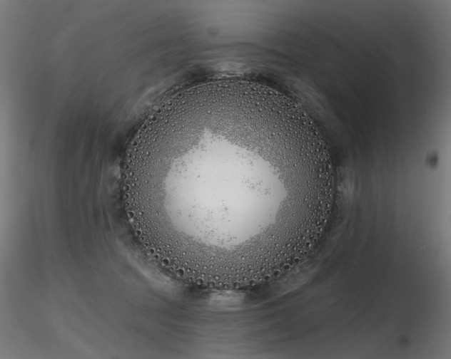 X0000116770369200912171539