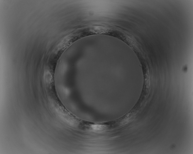 X0000116770371200912171539