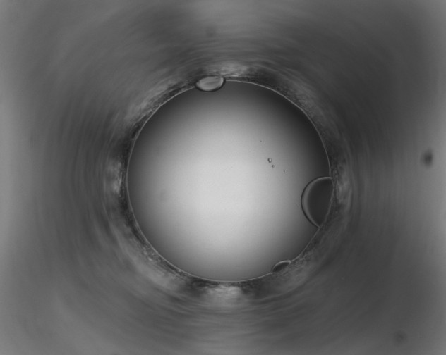 X0000116770374200912171539